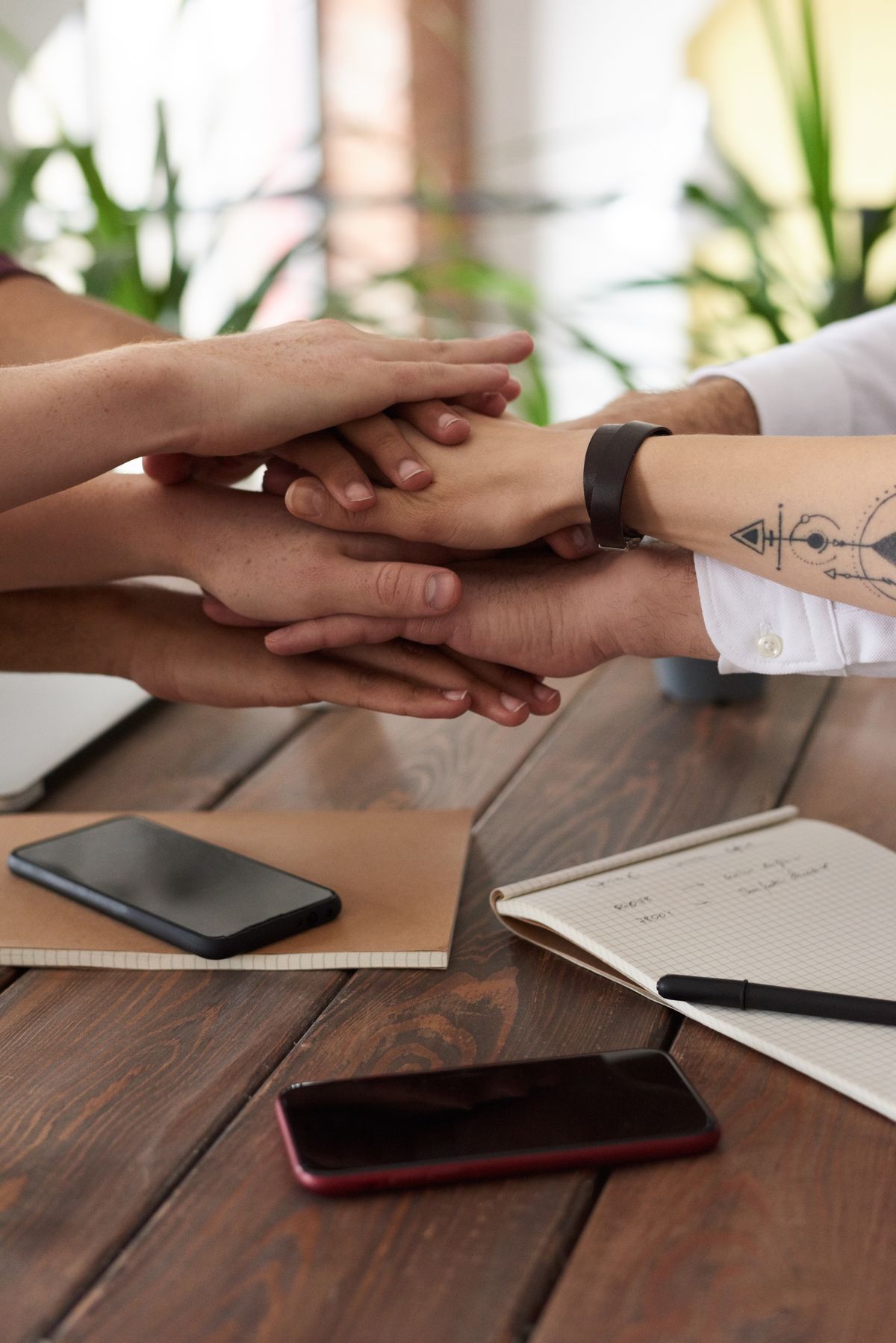 Sole trader or limited company?